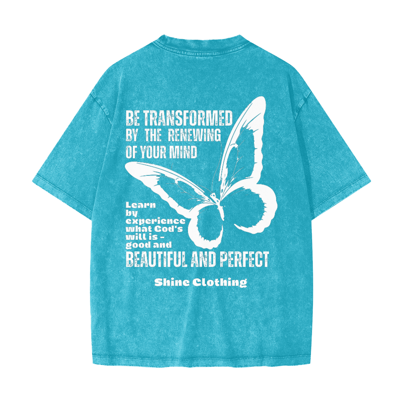 Transformed Snow Washed Tee